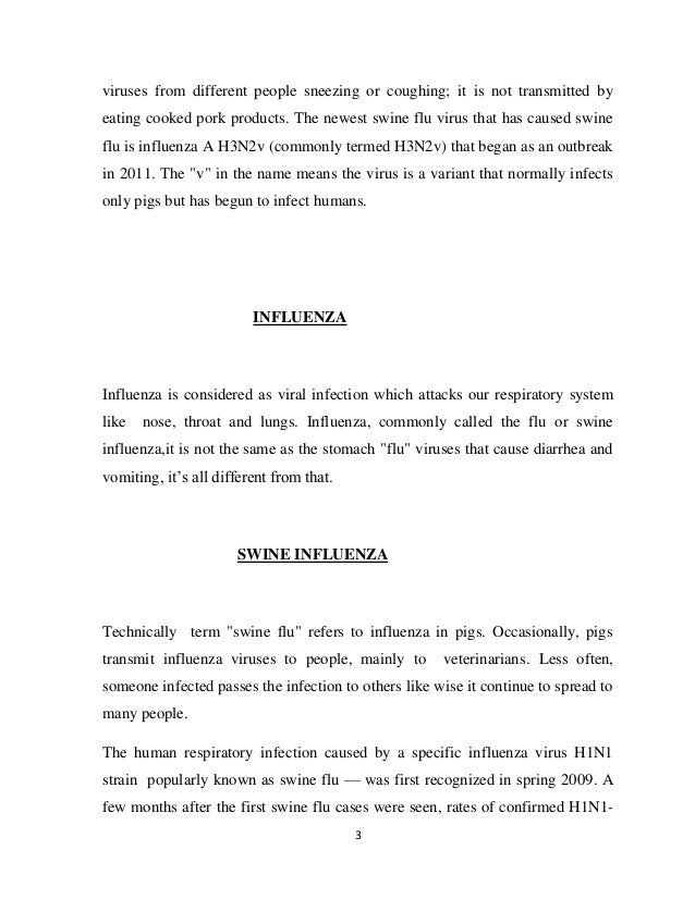 Essays About Business High School Admissions Essay also English Essay Ideas Swine Flu Essay Essay Style Paper